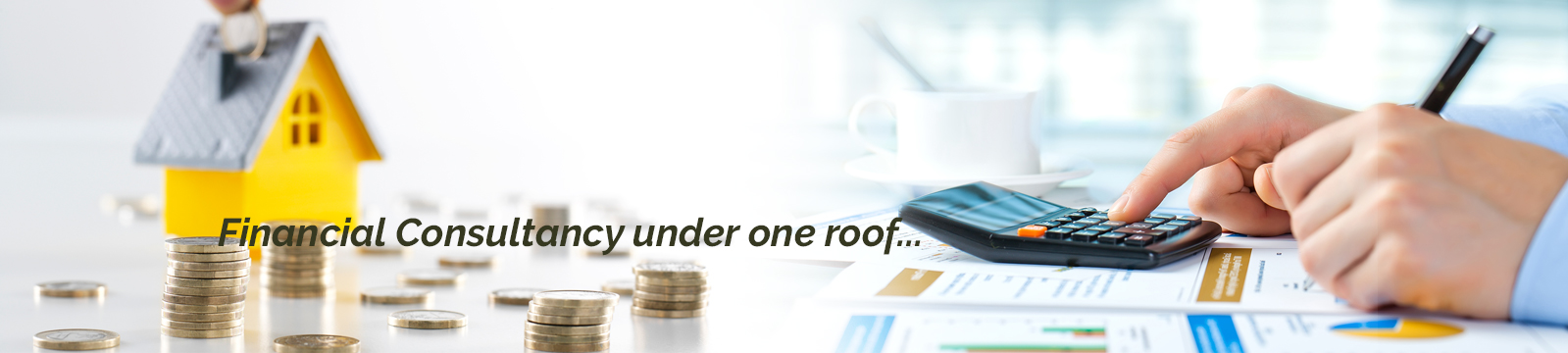 Realm Financial Consultants