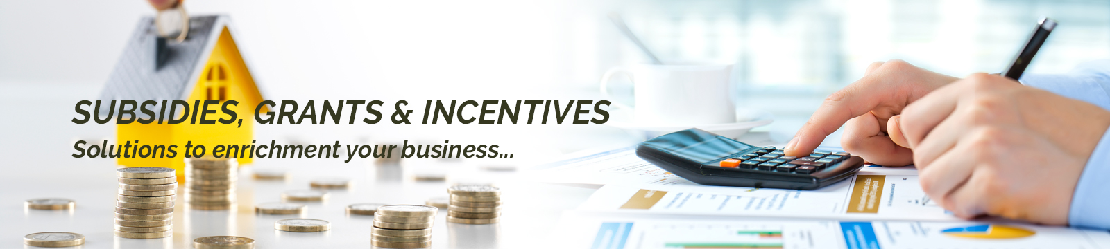 Realm Financial Consultants