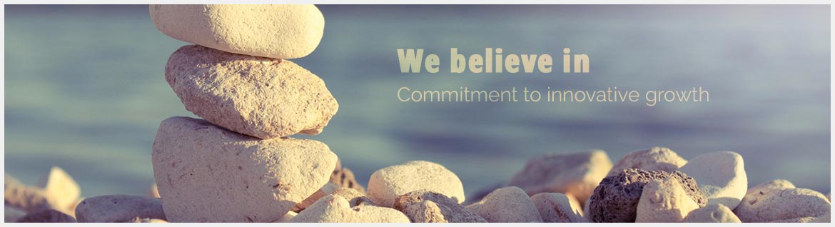 wide range of our professional consultancy services